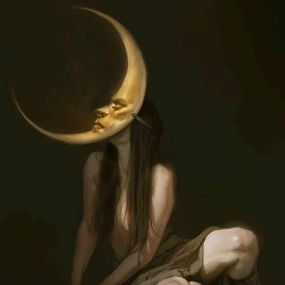 Meet your Posher, Shelly